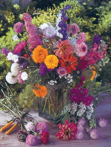 Bee Kind - Pollinator Wildflower Mix Seed Packets