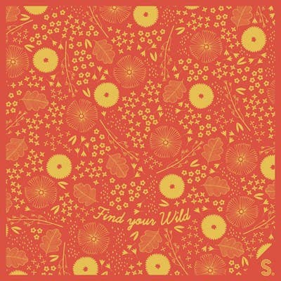 Find Your Wild Road Trip Bandana