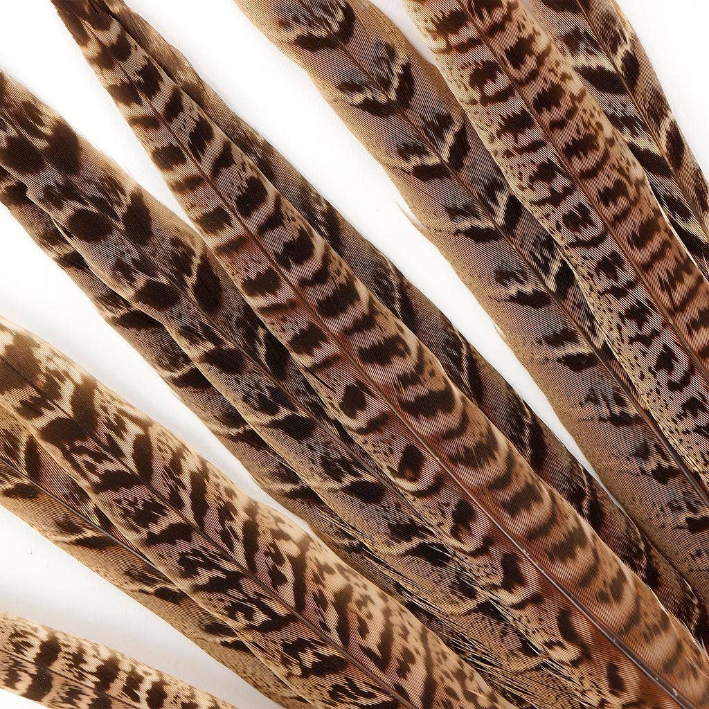 10 PC/PKG Female Ringneck Pheasant Tails 10-12" - Natural