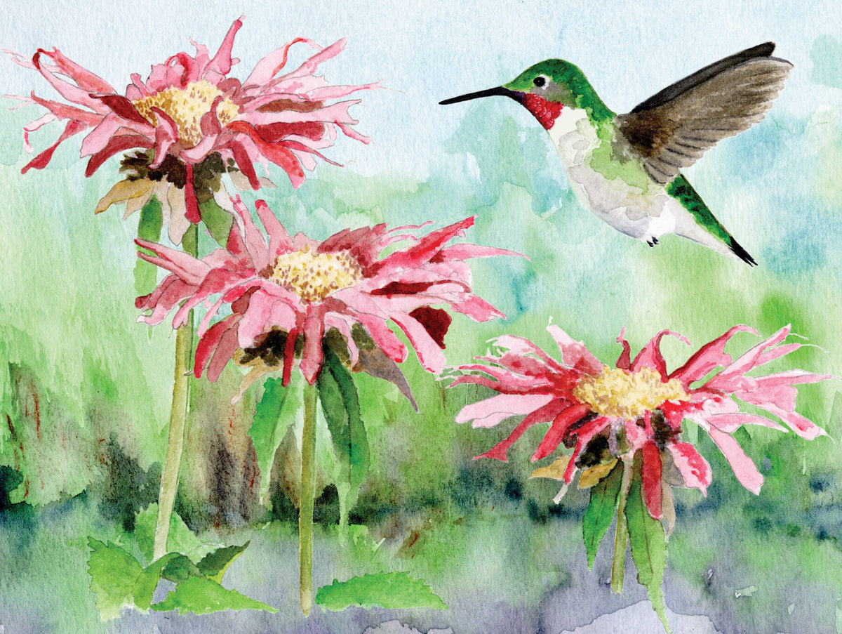 Ruby-throated Hummingbird - 1000 Piece Jigsaw Puzzle