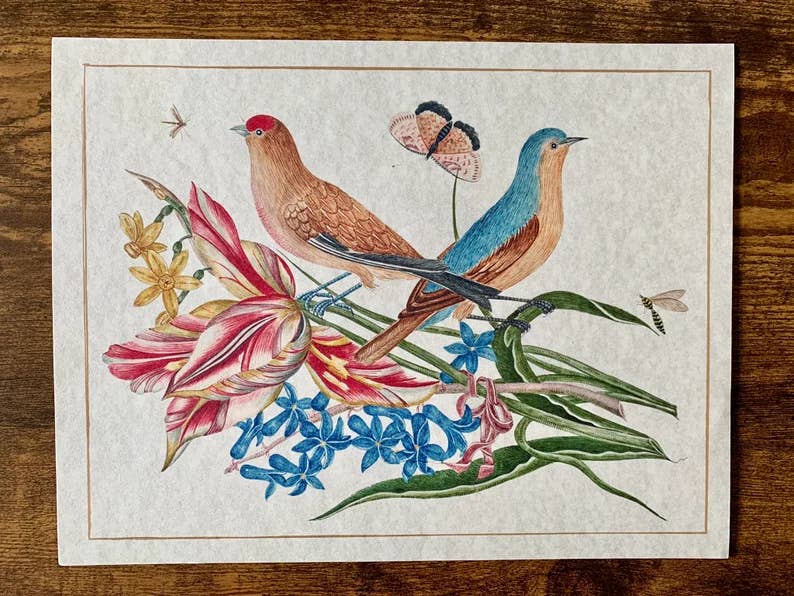 Ornithological Beautiful Botanical Bird Prints : All Prints 5X7