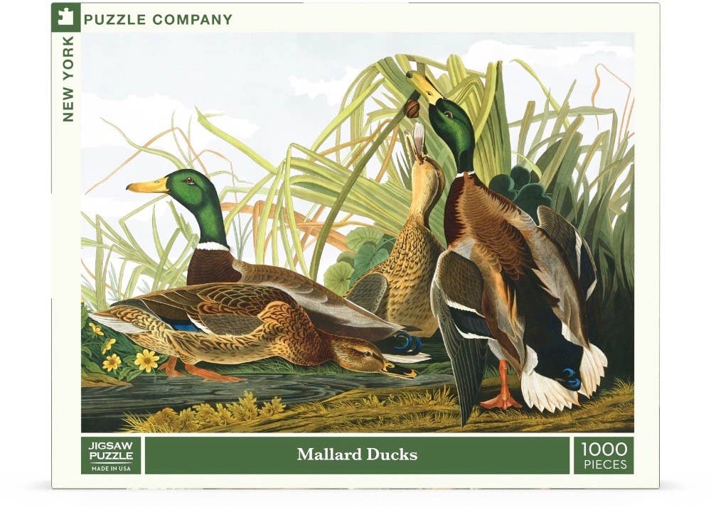 Mallard Ducks - 1000 Piece Jigsaw Puzzle