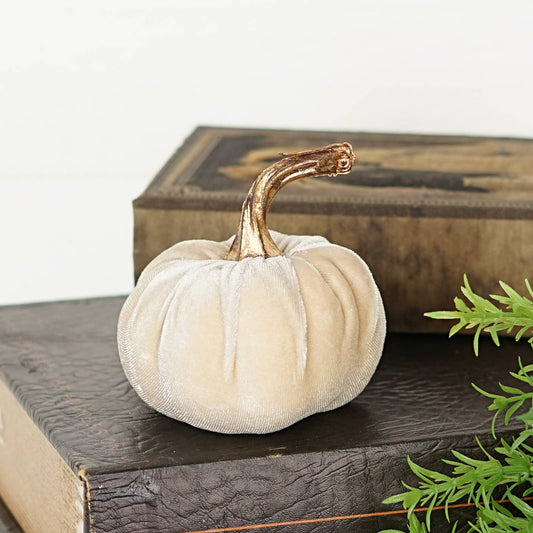Velvet Pumpkin medium