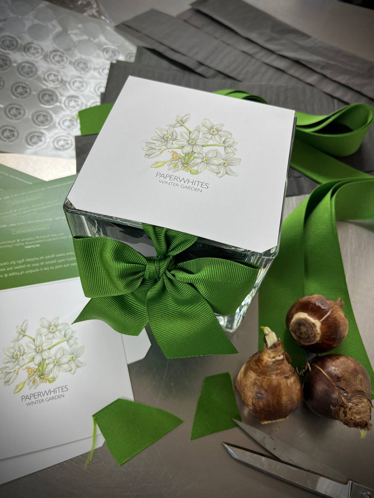 Garden in a Bag | Christmas Paperwhites | Best Seller