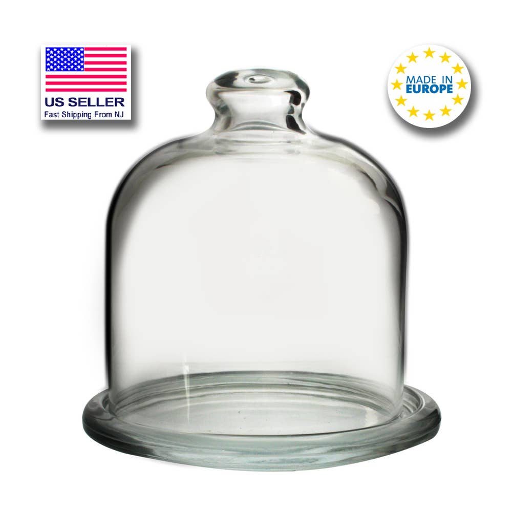 Mini Stand with Dome, Glass Food Preservation with Lid, 4 in