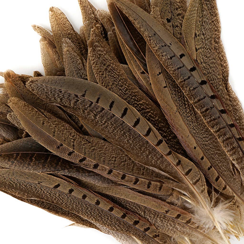 10 Pc/ Pkg Ringneck Pheasant Tails 8-10" - Natural