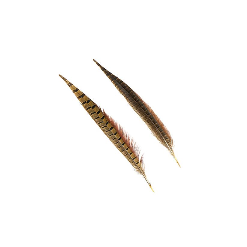 10 PC/PKG Ringneck Pheasant Tails 12-14" - Natural