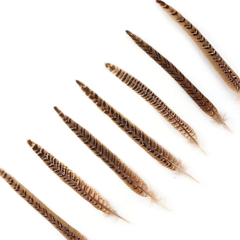 10 PC/PKG Female Ringneck Pheasant Tails 10-12" - Natural