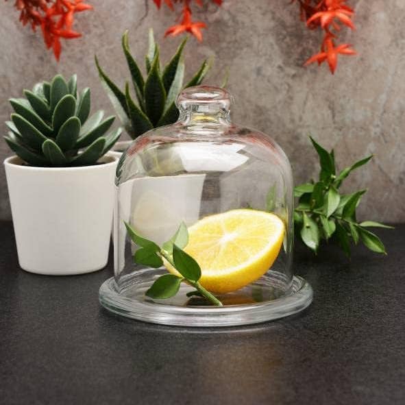 Mini Stand with Dome, Glass Food Preservation with Lid, 4 in