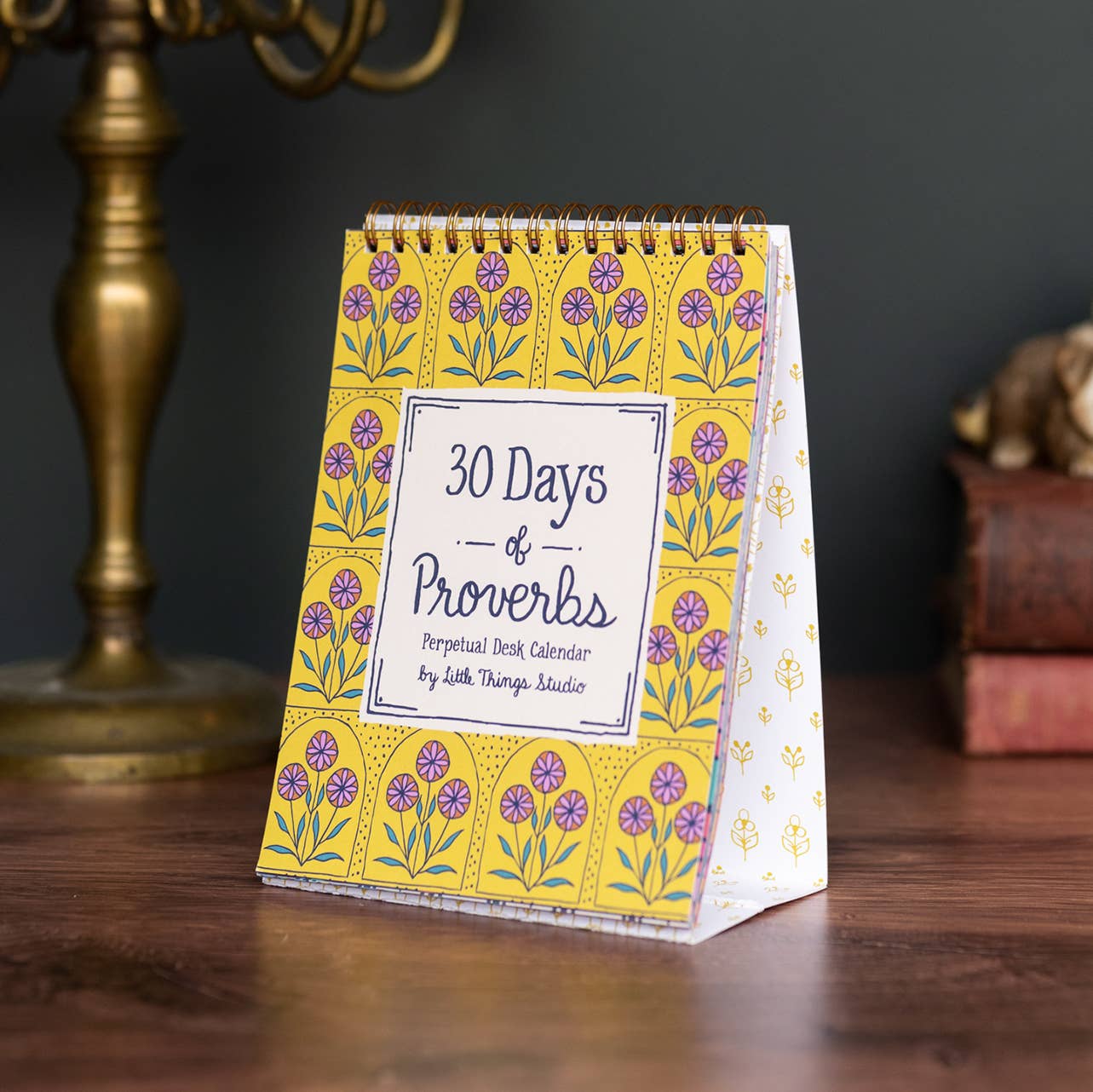 30 Days of Proverbs Perpetual Calendar – Vibrant