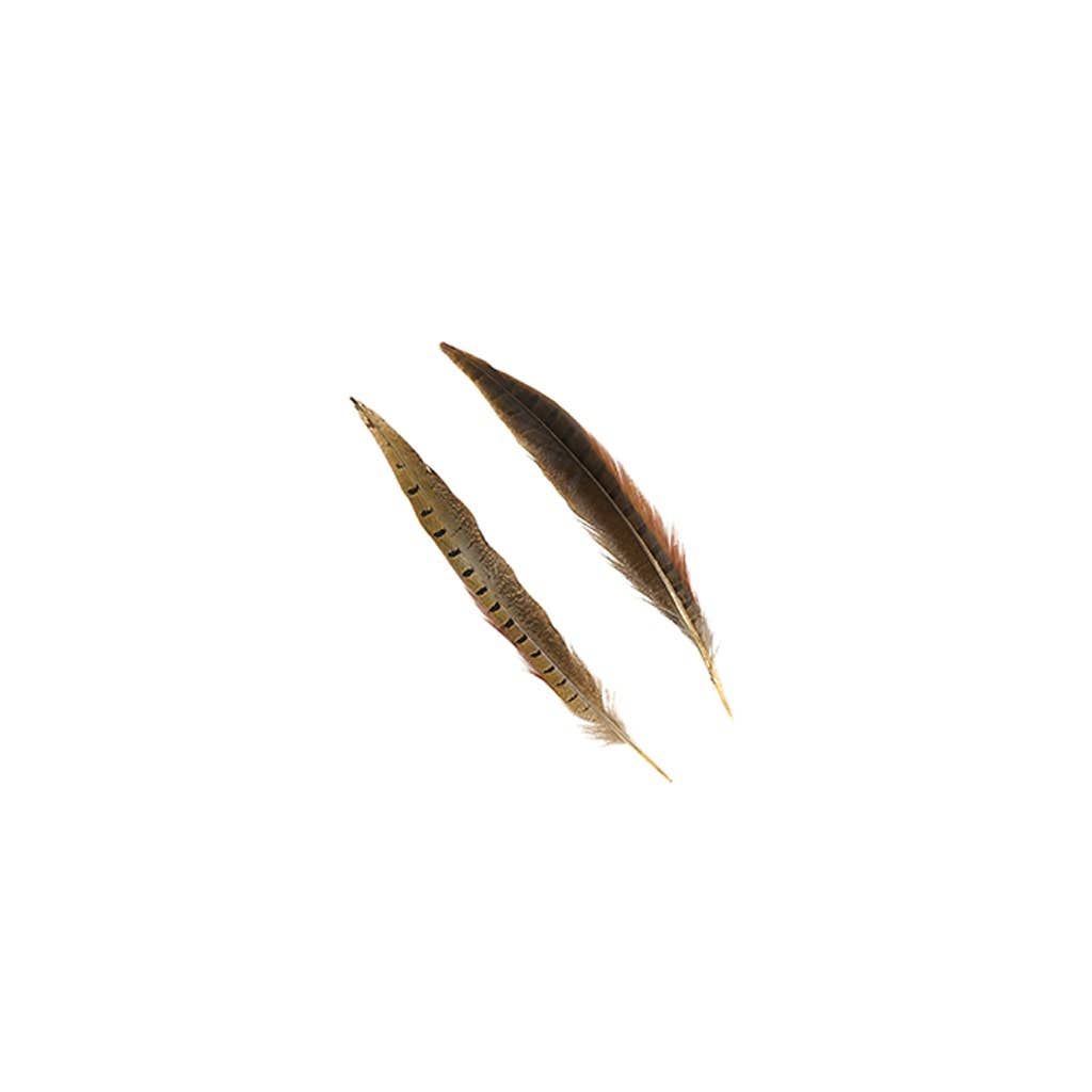 10 Pc/ Pkg Ringneck Pheasant Tails 8-10" - Natural