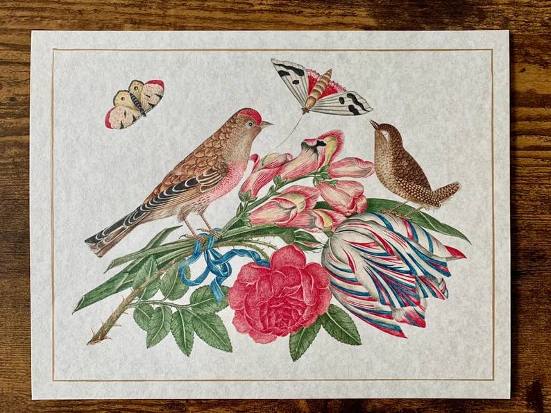Ornithological Beautiful Botanical Bird Prints : All Prints 5X7