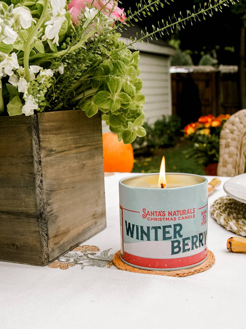 Winter Berry 9oz Candle