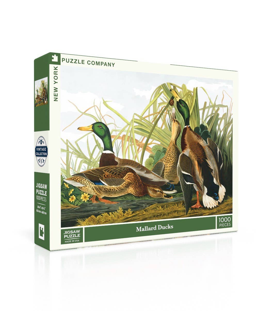 Mallard Ducks - 1000 Piece Jigsaw Puzzle