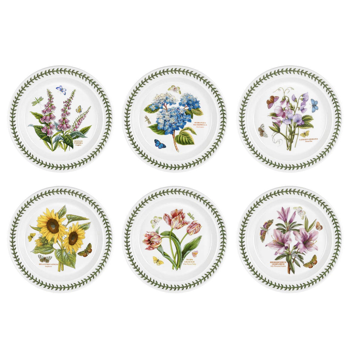 Portmeirion Botanic Garden Dinner Plate(Assorted Motif): Earthenware, Botanic Garden