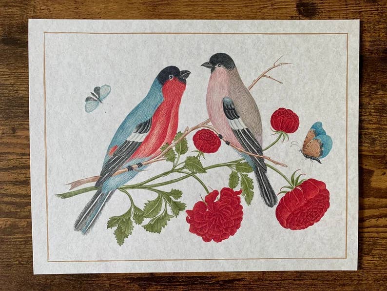 Ornithological Beautiful Botanical Bird Prints : All Prints 5X7