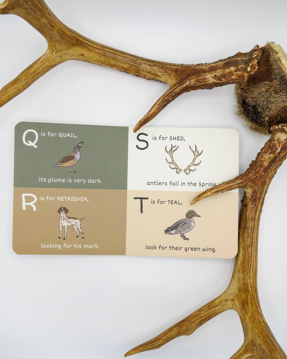 ABC's of Hunting
