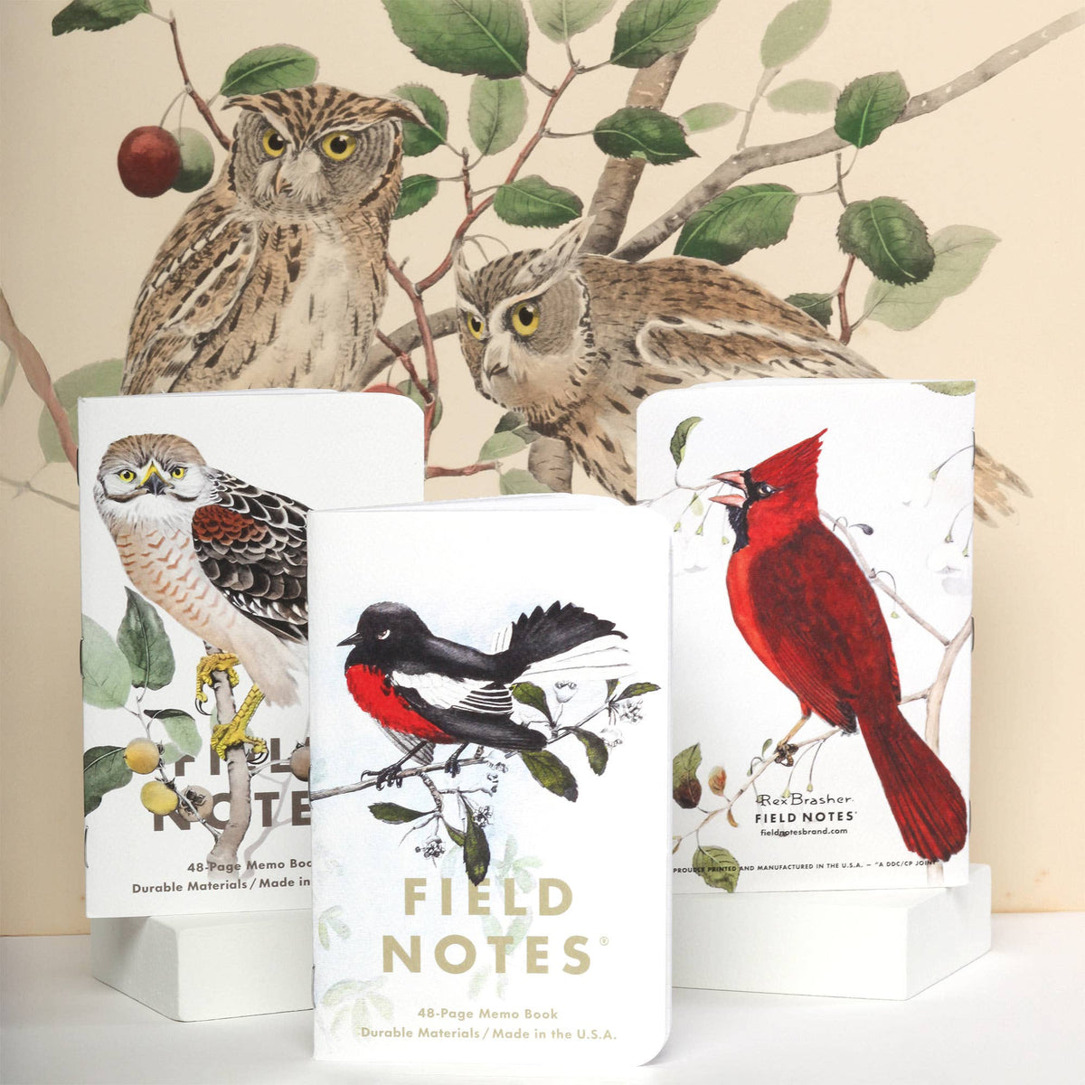 Birds and Trees of North America: Pack A: Screech Owl - Blue Jay - Brewer Sparrow