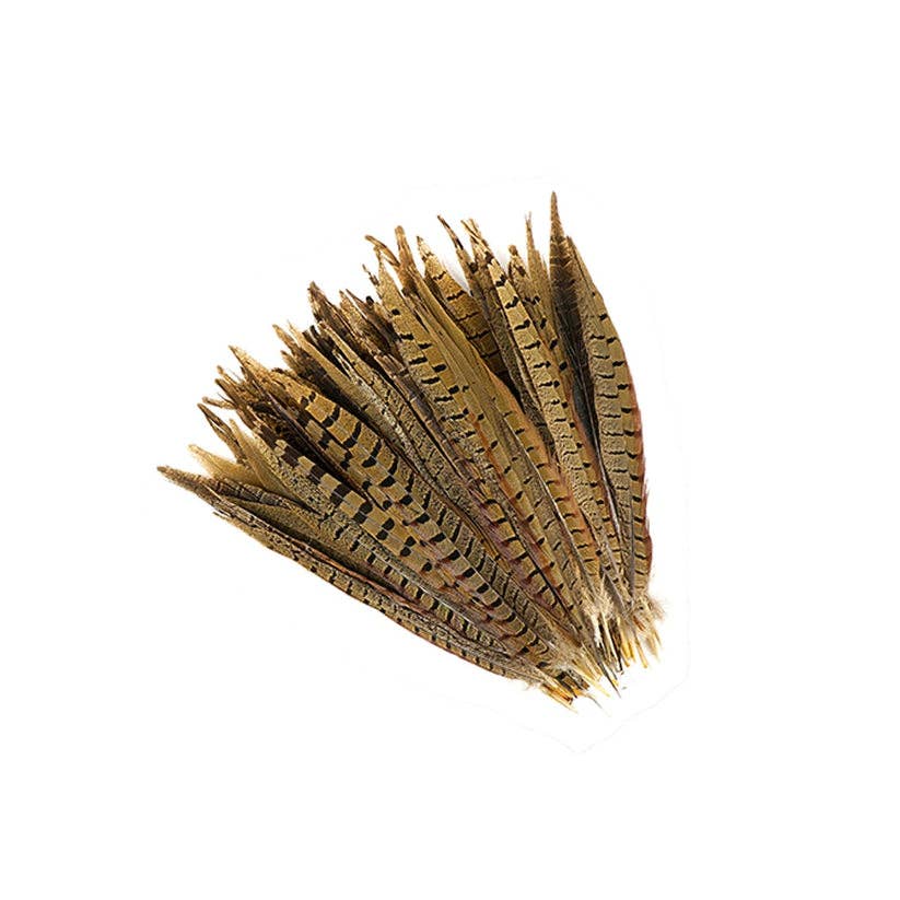 10 PC/PKG Ringneck Pheasant Tails 10-12" - Natural