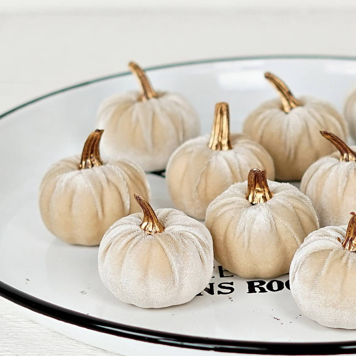 Velvet pumpkins mini