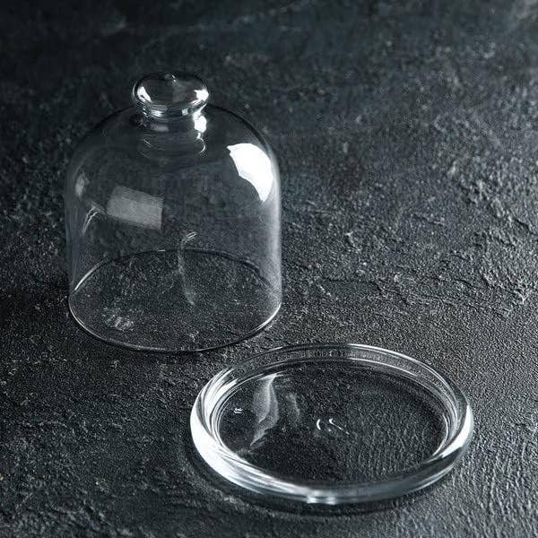 Mini Stand with Dome, Glass Food Preservation with Lid, 4 in