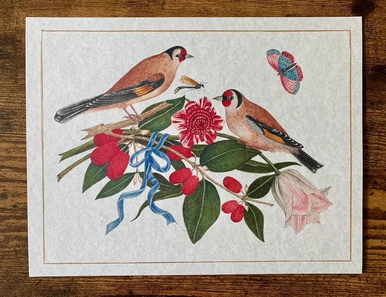 Ornithological Beautiful Botanical Bird Prints : All Prints 5X7