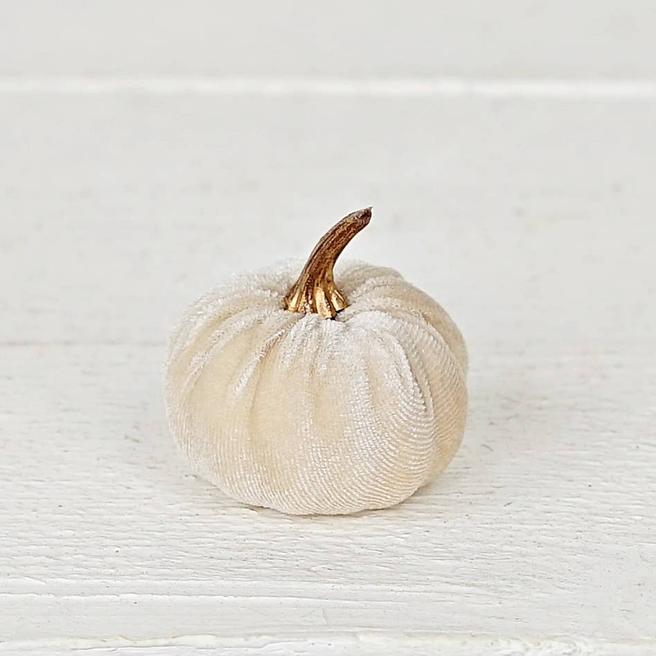 Velvet pumpkins mini