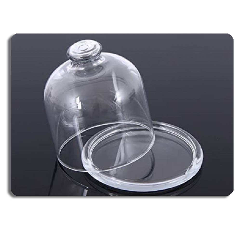 Mini Stand with Dome, Glass Food Preservation with Lid, 4 in