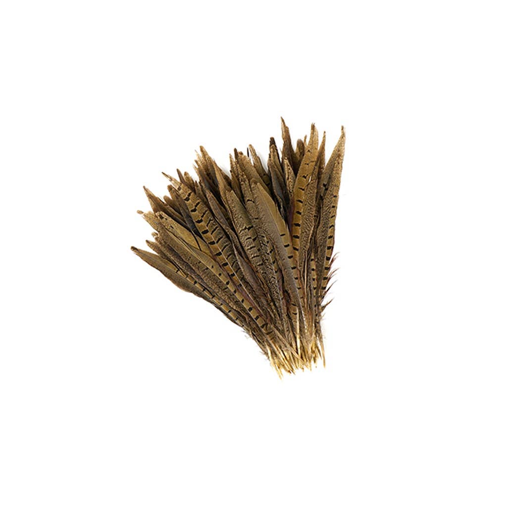 10 Pc/ Pkg Ringneck Pheasant Tails 8-10" - Natural