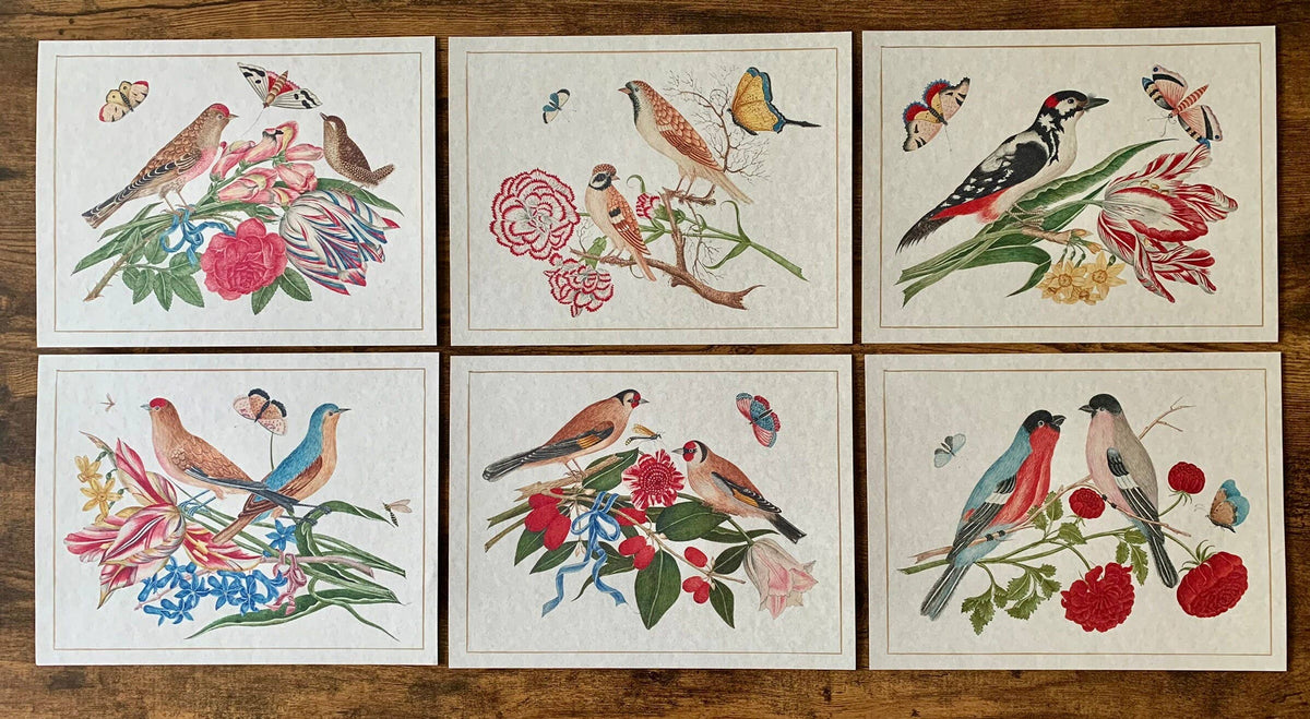 Ornithological Beautiful Botanical Bird Prints : All Prints 5X7