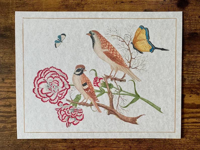 Ornithological Beautiful Botanical Bird Prints : All Prints 5X7