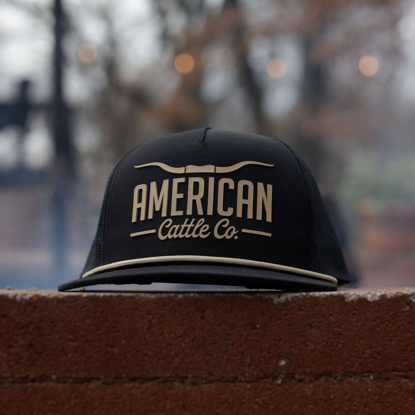 Longhorn Hat: White/Gold